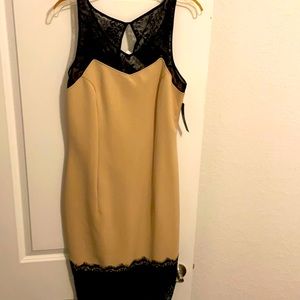 Brand New Body-con Dress